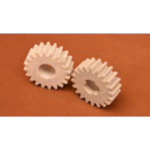 R PUMP GEARS SET PLASTIC